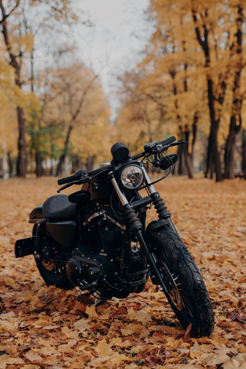 assurance moto